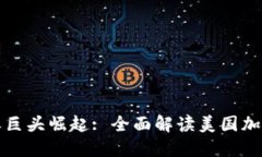 美国加密货币之巨头崛起: 全面解读美国加密货币
