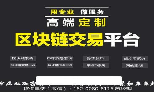 爱沙尼亚加密货币——探索其发行背景和未来趋势