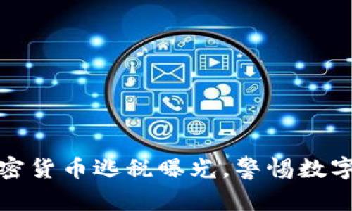 土耳其加密货币逃税曝光,警惕数字资产风险