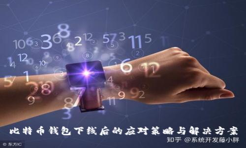 比特币钱包下线后的应对策略与解决方案
