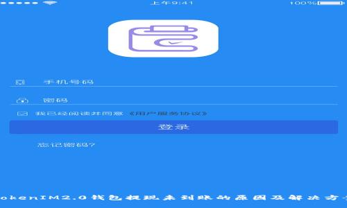 TokenIM2.0钱包提现未到账的原因及解决方案