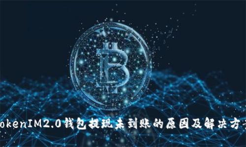 TokenIM2.0钱包提现未到账的原因及解决方案