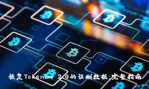 恢复Tokenim 2.0的误删数据：完整指南