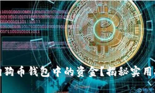 如何有效利用狗狗币钱包中的资金？揭秘实用技巧与应用场景