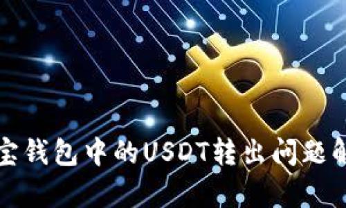 波宝钱包中的USDT转出问题解析