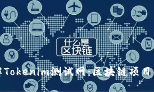 深入了解Tokenim测试网：区块链项目的试验场