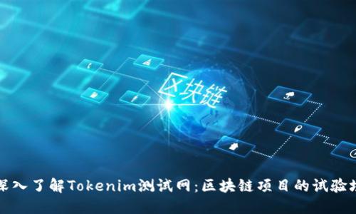 深入了解Tokenim测试网：区块链项目的试验场