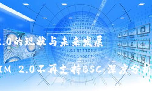 TokenIM 2.0的现状与未来发展

为何TokenIM 2.0不再支持BSC：深度分析与未来展望