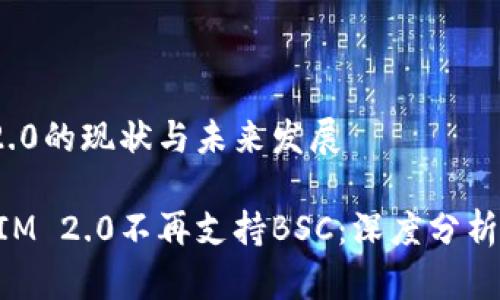 TokenIM 2.0的现状与未来发展

为何TokenIM 2.0不再支持BSC：深度分析与未来展望