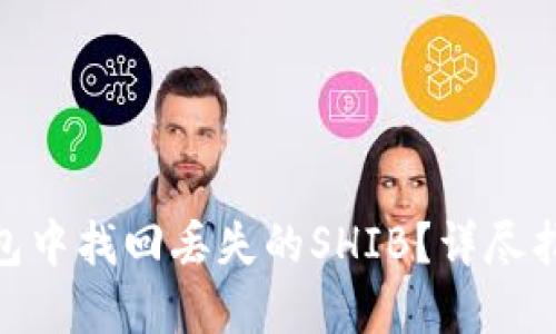 : 如何在冷钱包中找回丢失的SHIB？详尽指南与应对策略