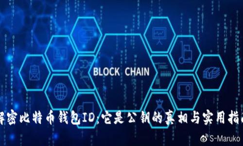 解密比特币钱包ID：它是公钥的真相与实用指南