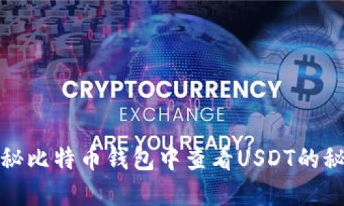 揭秘比特币钱包中查看USDT的秘密