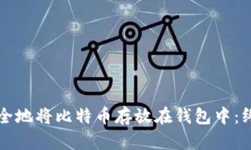 如何安全地将比特币存放在钱包中：终极指南