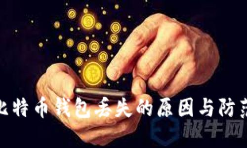 探讨比特币钱包丢失的原因与防范措施
