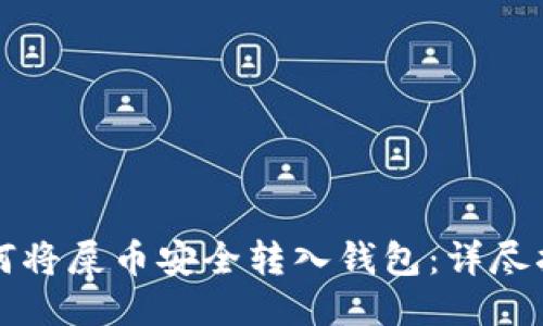 如何将屎币安全转入钱包：详尽指南