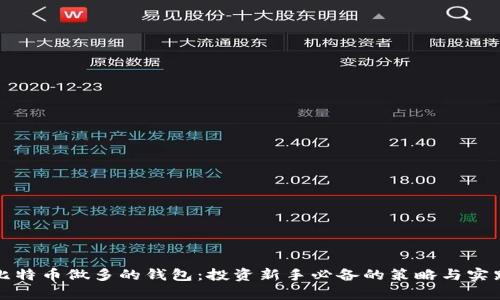 “持有比特币做多的钱包：投资新手必备的策略与实践指南”