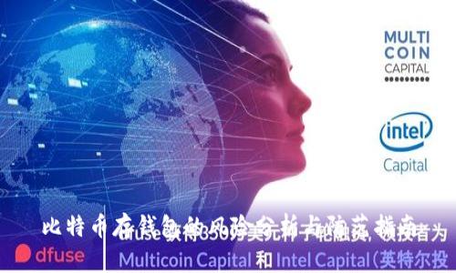 比特币存钱包的风险分析与防范指南