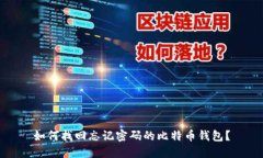 如何找回忘记密码的比特