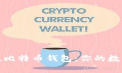 全面解析最新版比特币钱