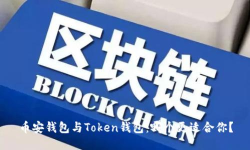 币安钱包与Token钱包：哪个更适合你？