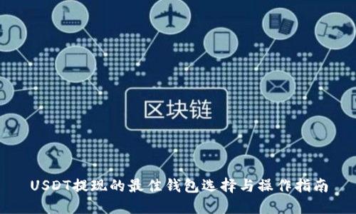 USDT提现的最佳钱包选择与操作指南