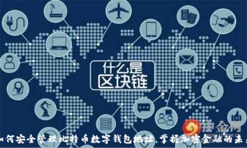   
如何安全管理比特币数字钱包地址，掌握加密金融的未来