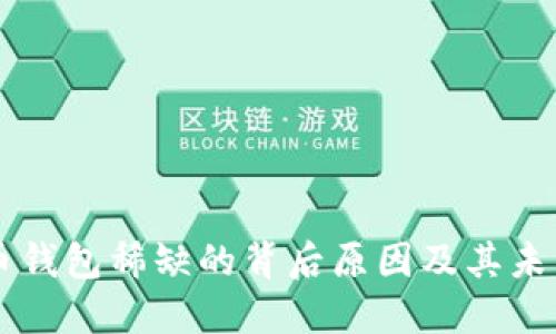 瑞波币钱包稀缺的背后原因及其未来展望