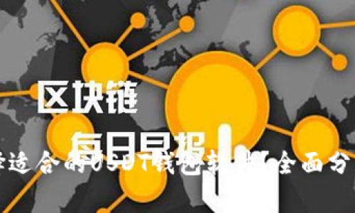 如何选择适合的USDT钱包软件？全面分析与推荐