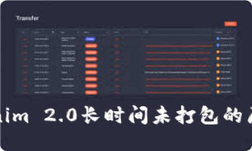 探讨Tokenim 2.0长时间未打包的原因及对策