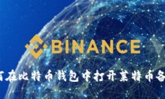 如何在比特币钱包中打开