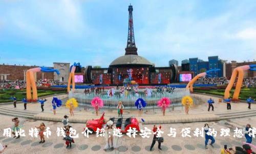 常用比特币钱包介绍：选择安全与便利的理想伴侣