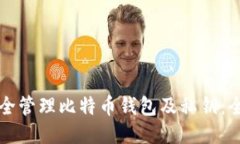如何安全管理比特币钱包