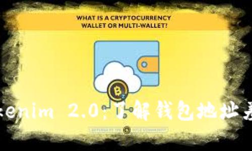 深入解析Tokenim 2.0：了解钱包地址差异的重要性
