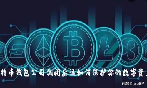 比特币钱包公司倒闭后该如何保护你的数字资产？