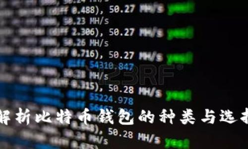全面解析比特币钱包的种类与选择指南