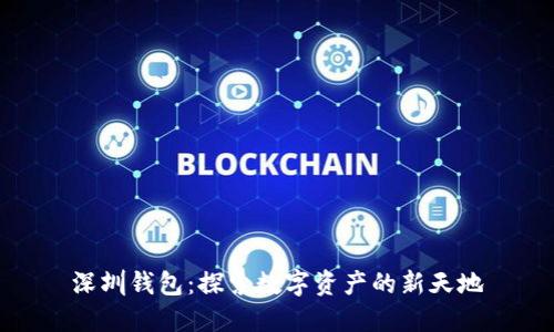 深圳钱包：探索数字资产的新天地