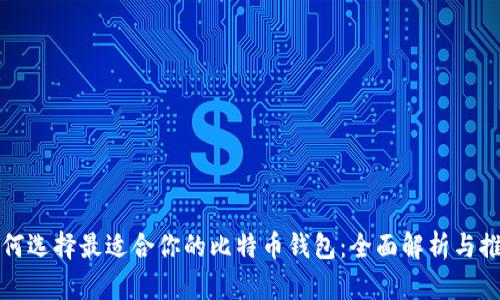 如何选择最适合你的比特币钱包：全面解析与推荐