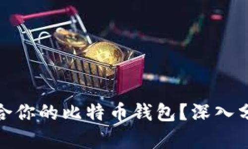 如何选择最适合你的比特币钱包？深入分析与实用建议