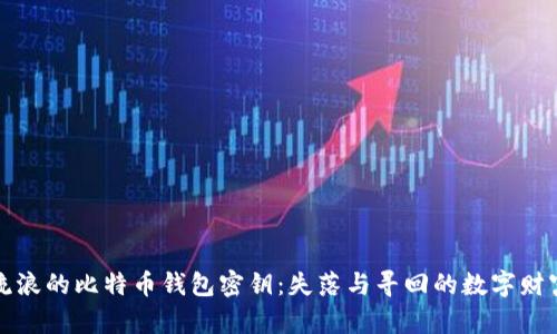 流浪的比特币钱包密钥：失落与寻回的数字财富