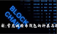  全面解析：常见比特币钱