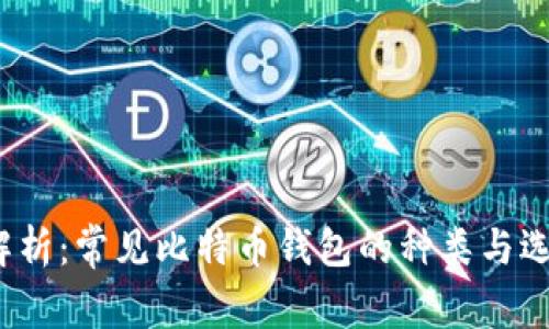  全面解析：常见比特币钱包的种类与选择技巧