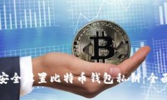 如何安全设置比特币钱包