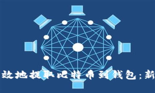 如何安全高效地提取比特币到钱包：新手必看指南