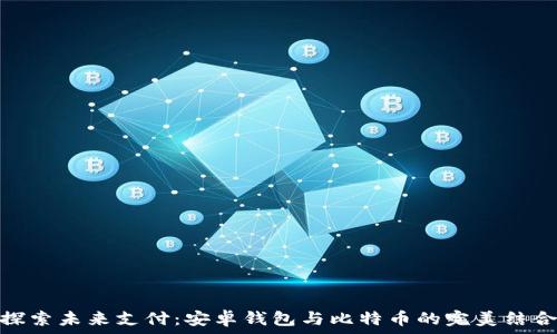   
探索未来支付：安卓钱包与比特币的完美结合