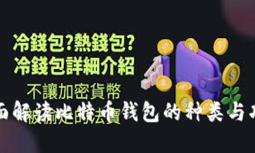 全面解读比特币钱包的种类与功能