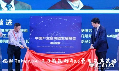揭秘Tokenim 2.0钱包的Gas费用及其策略