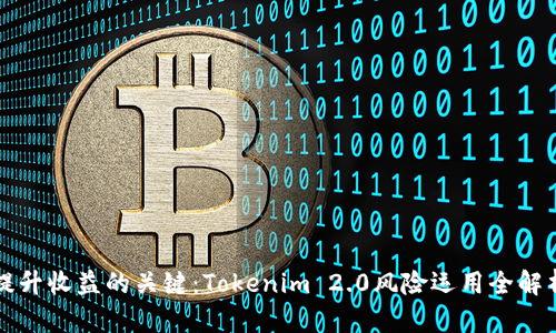 提升收益的关键：Tokenim 2.0风险运用全解析