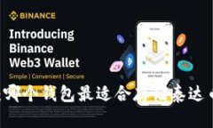 深入探讨：哪个钱包最适合存储泰达币（USDT）？