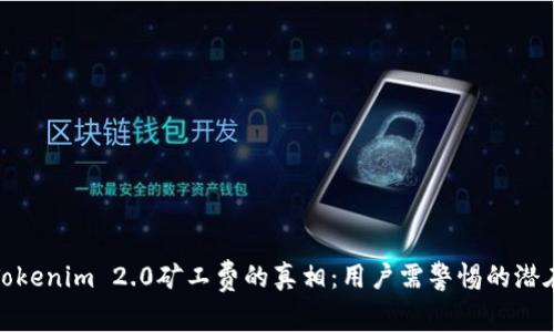揭示Tokenim 2.0矿工费的真相：用户需警惕的潜在风险