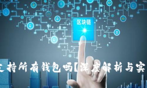 USDT支持所有钱包吗？深度解析与实用指南
